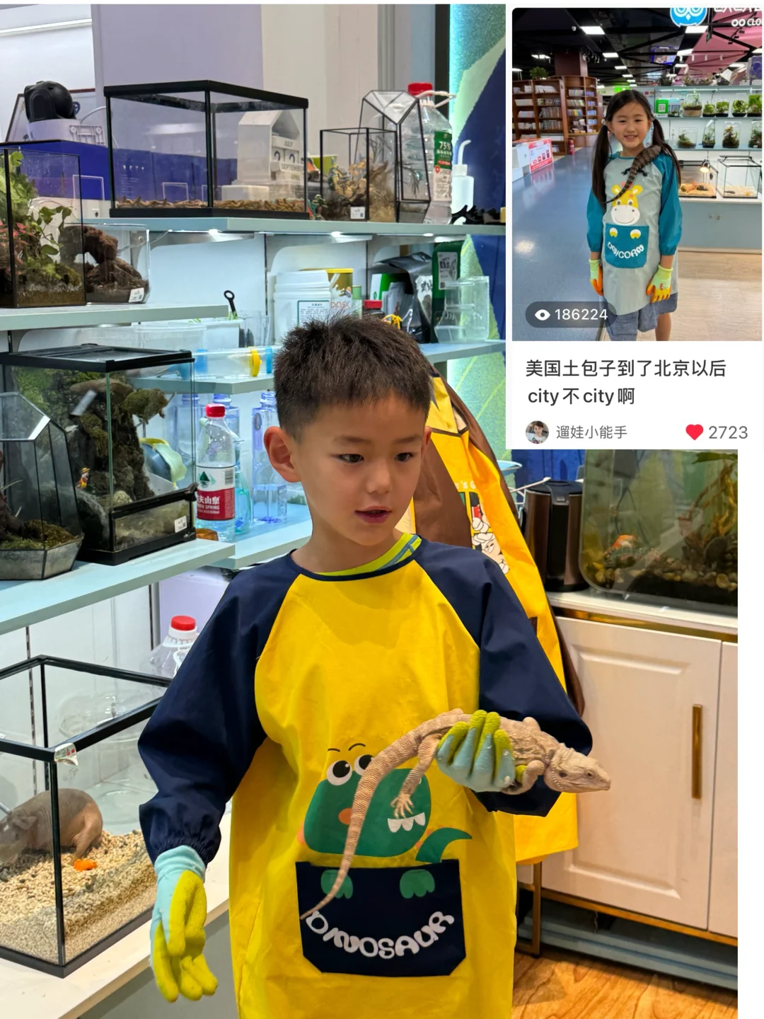 又是一年，回国后沉迷于逛商场的土包子们