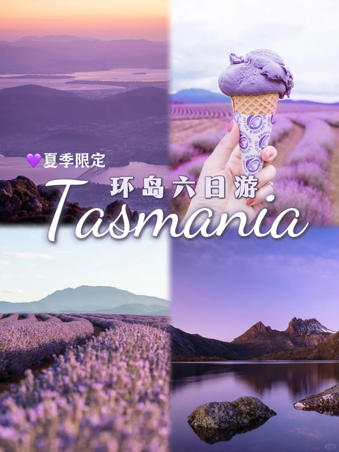 2025第一场旅行，邂逅tasmania💜紫色浪漫