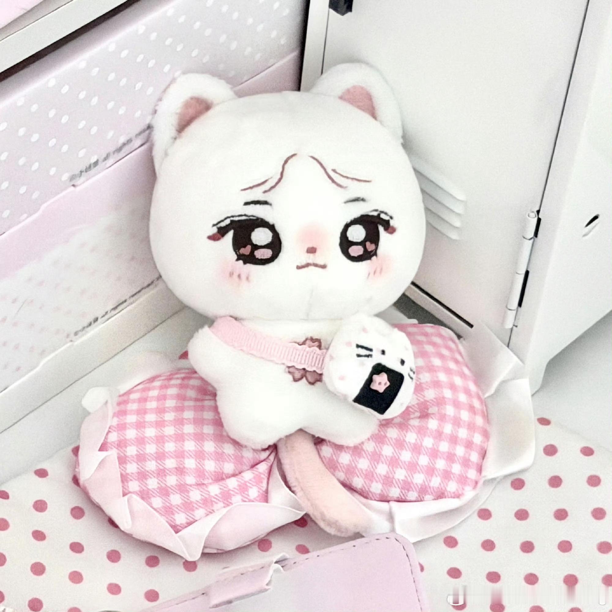 杨猫猫明天终于要来啦！ 