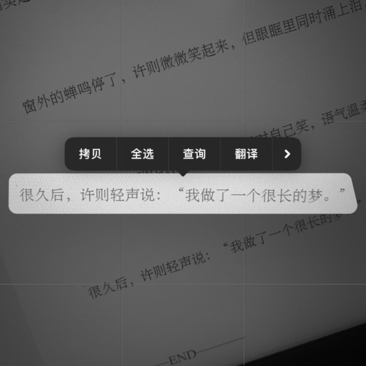 欲言难止 “我做了一个很长的梦” 