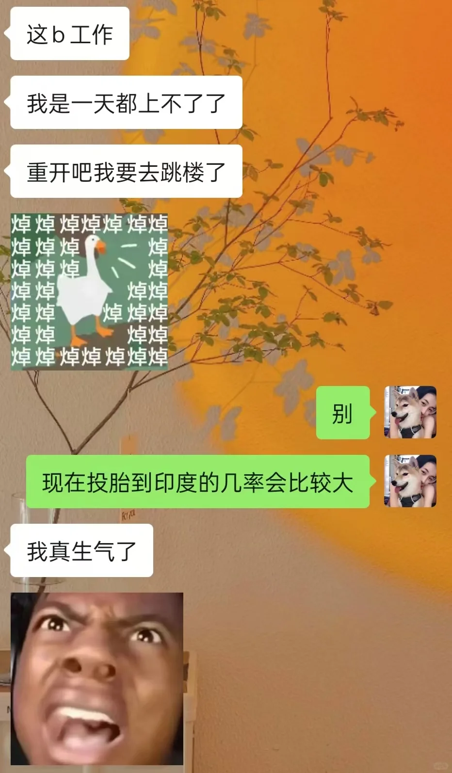 当两个很有梗的人聊天时