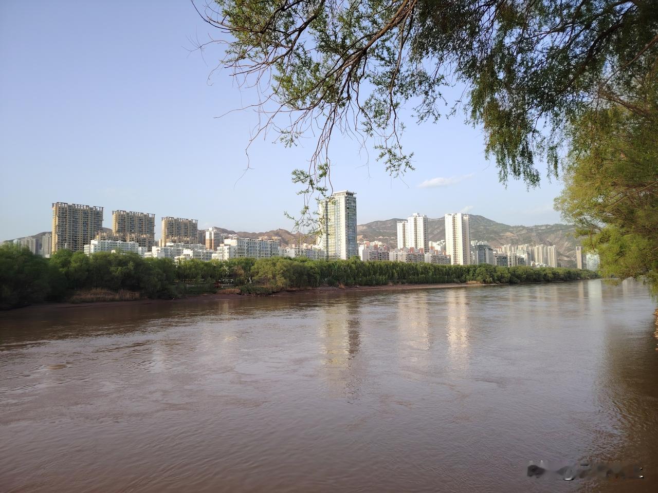 今年春天最想实现的心愿