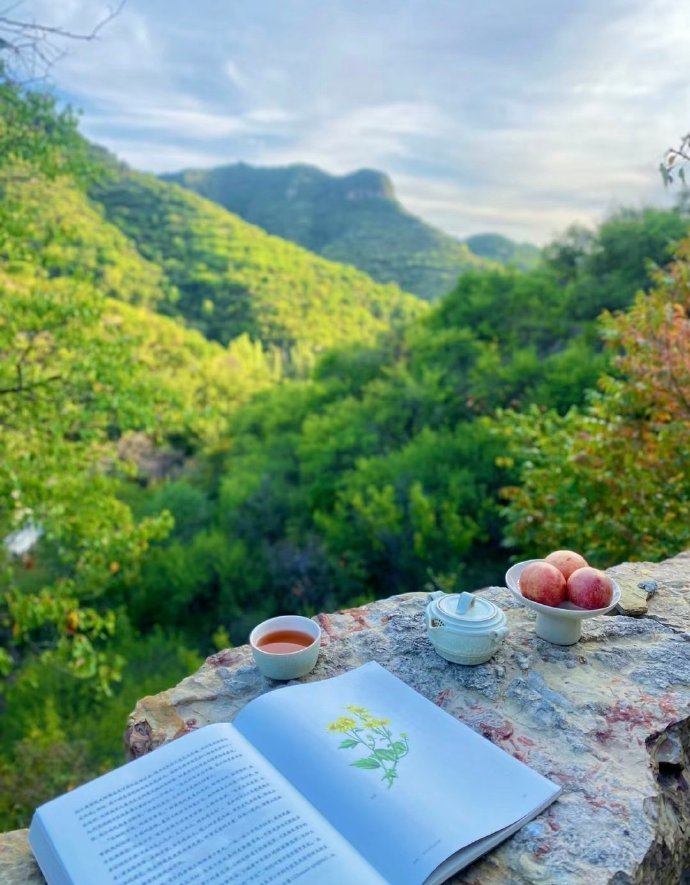 “  人生忽如寄，莫负茶、汤、好天气 … ” 