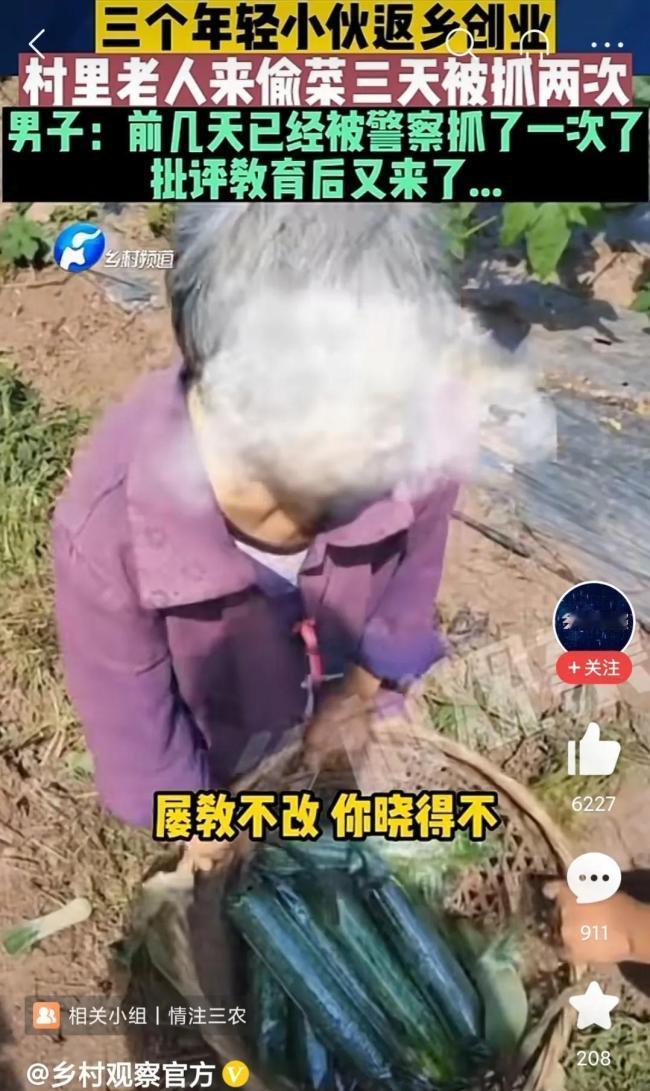 七旬老太太偷菜被逮，反而理直气壮地说：“我是老太太我怕啥？”菜农：“老就可以偷别