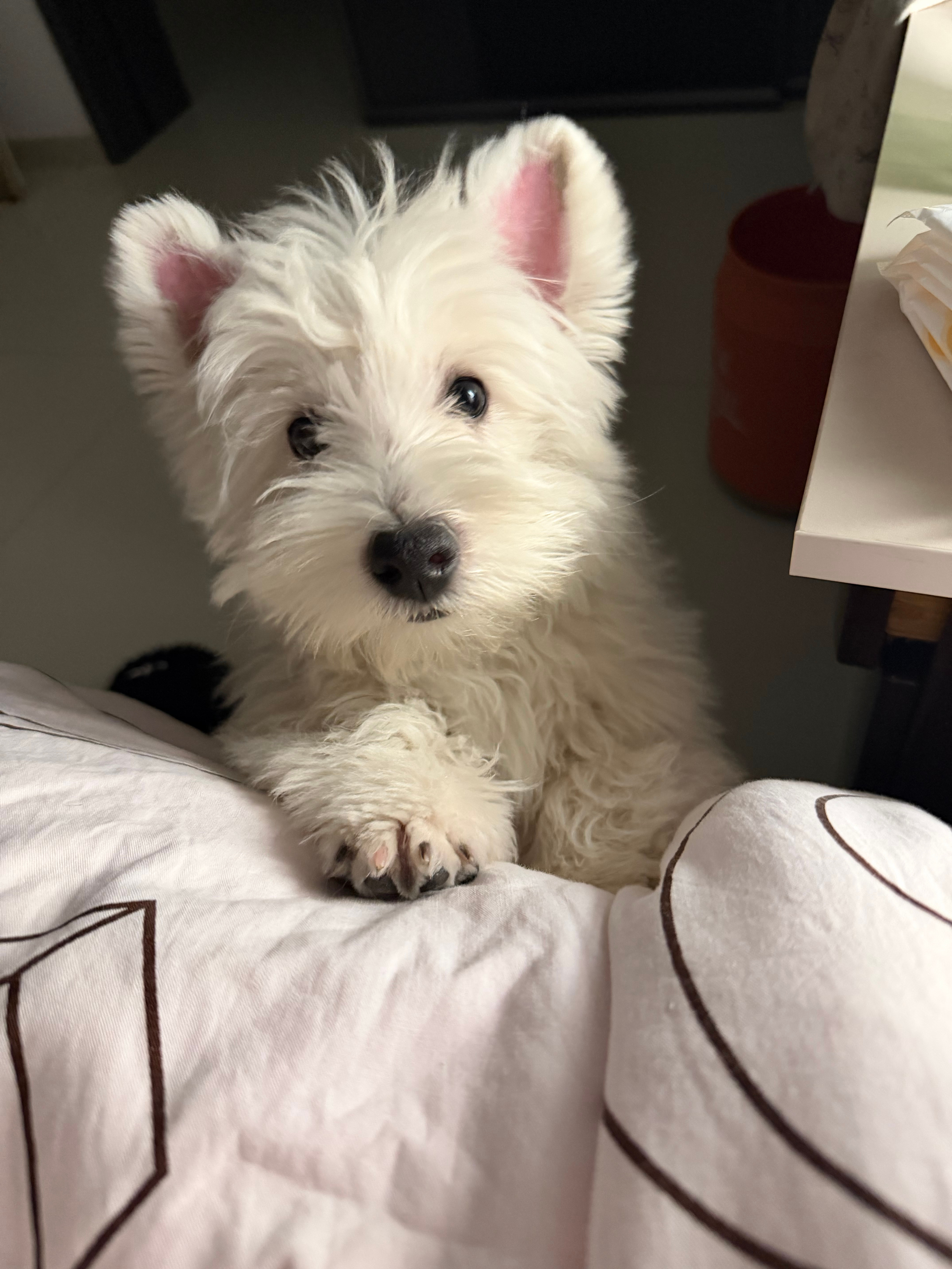 “麻麻 我要喝neinei ” 