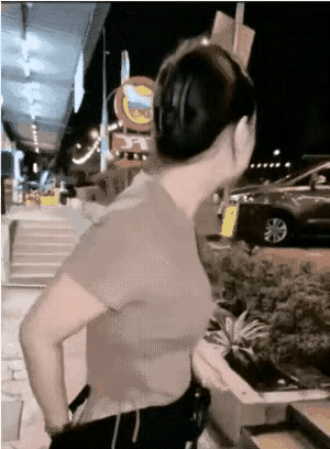 把狗当人了，有点不妥🤦