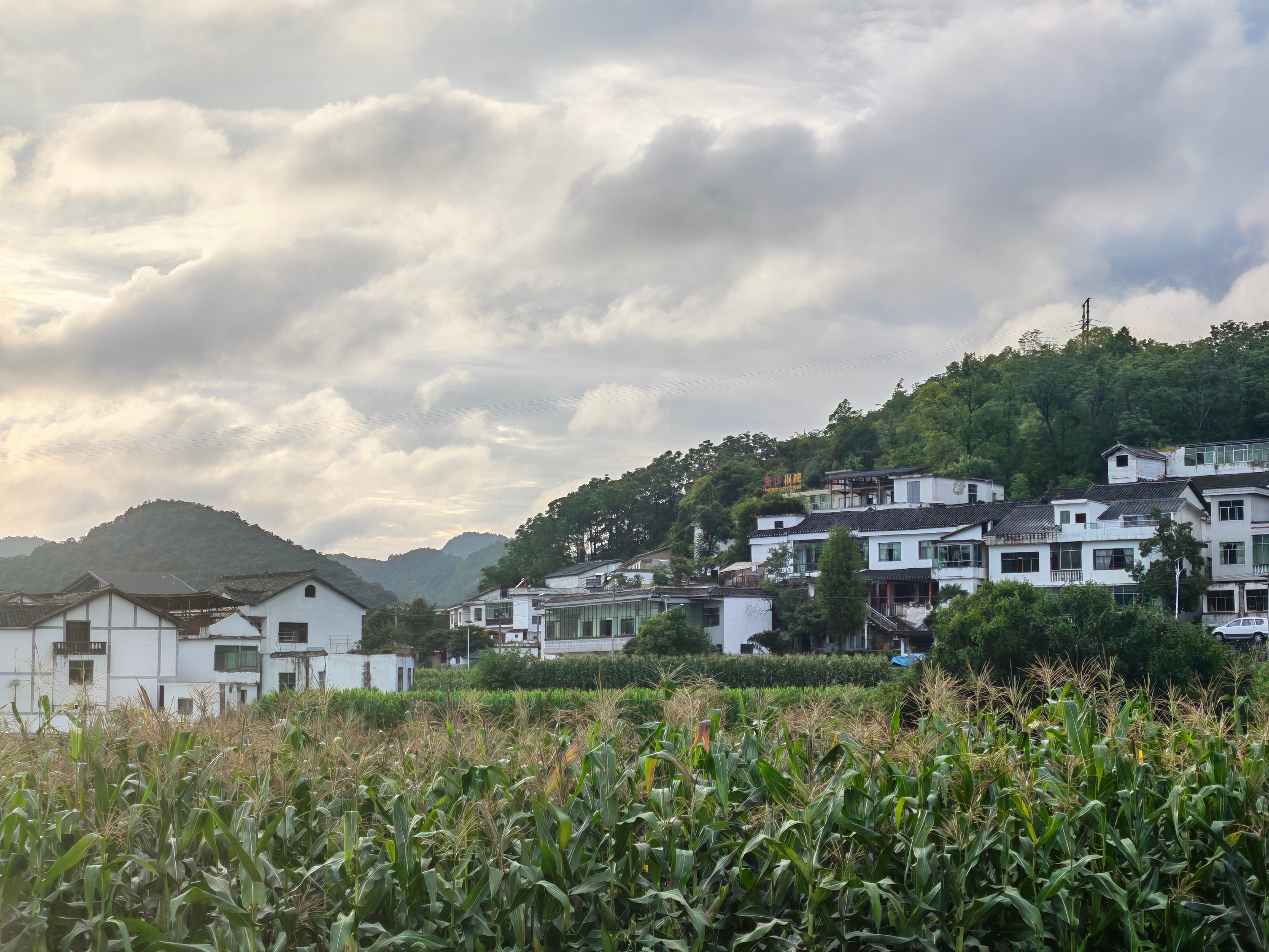 日本7.1级地震民众哭喊声一片哦，7.1啊？别的不说了，就希望在日同胞平平安安的