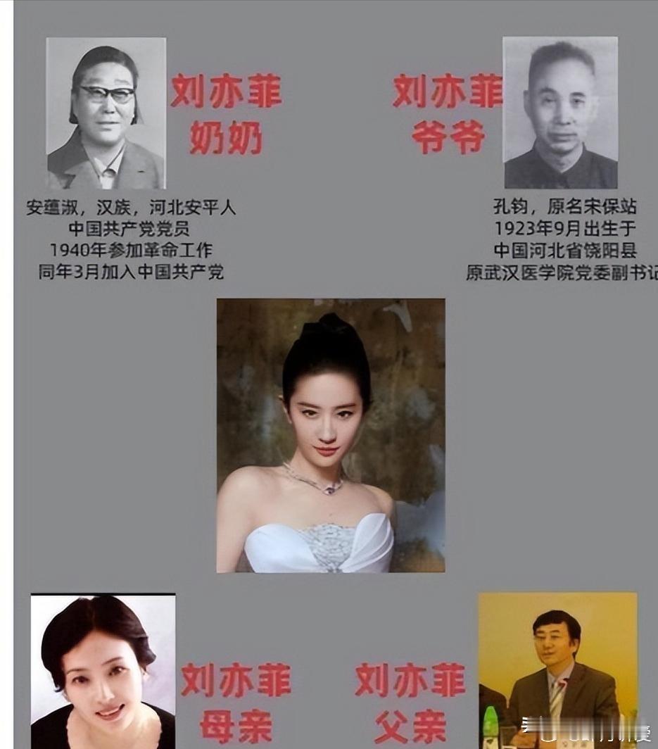 沉默的父亲，热搜的风暴，被删掉的简历。 最近网上全在说刘亦菲妈妈多不容易，可她爸