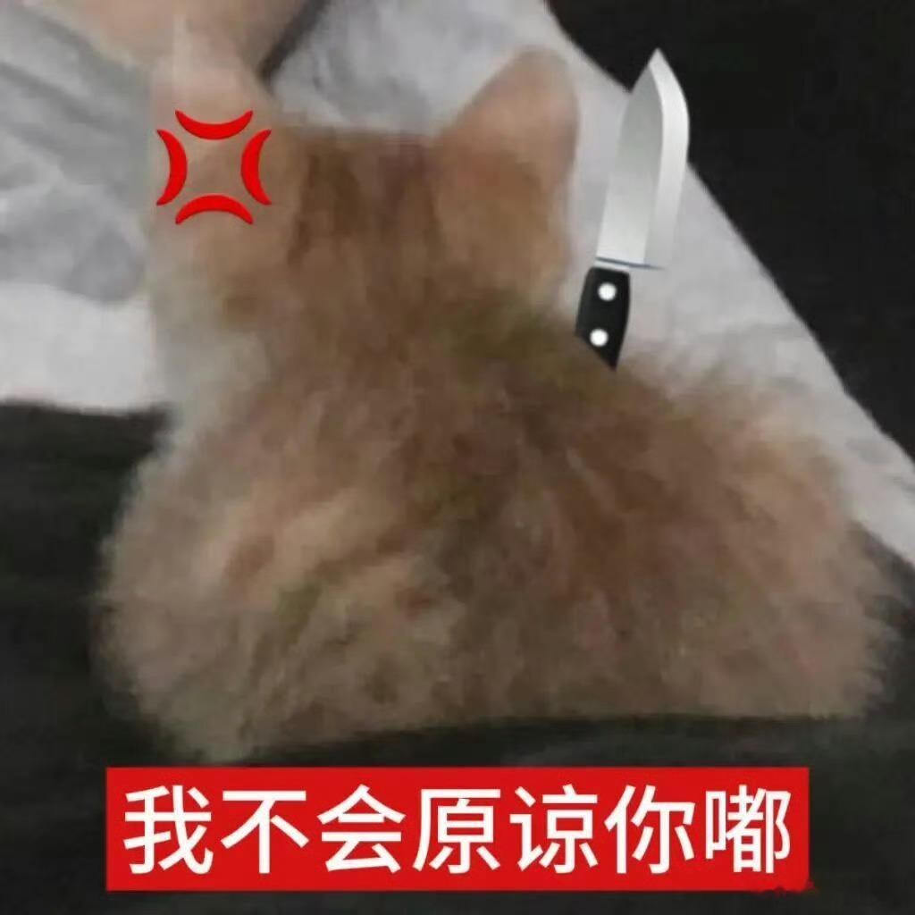 第一次失眠没午睡你赔偿我