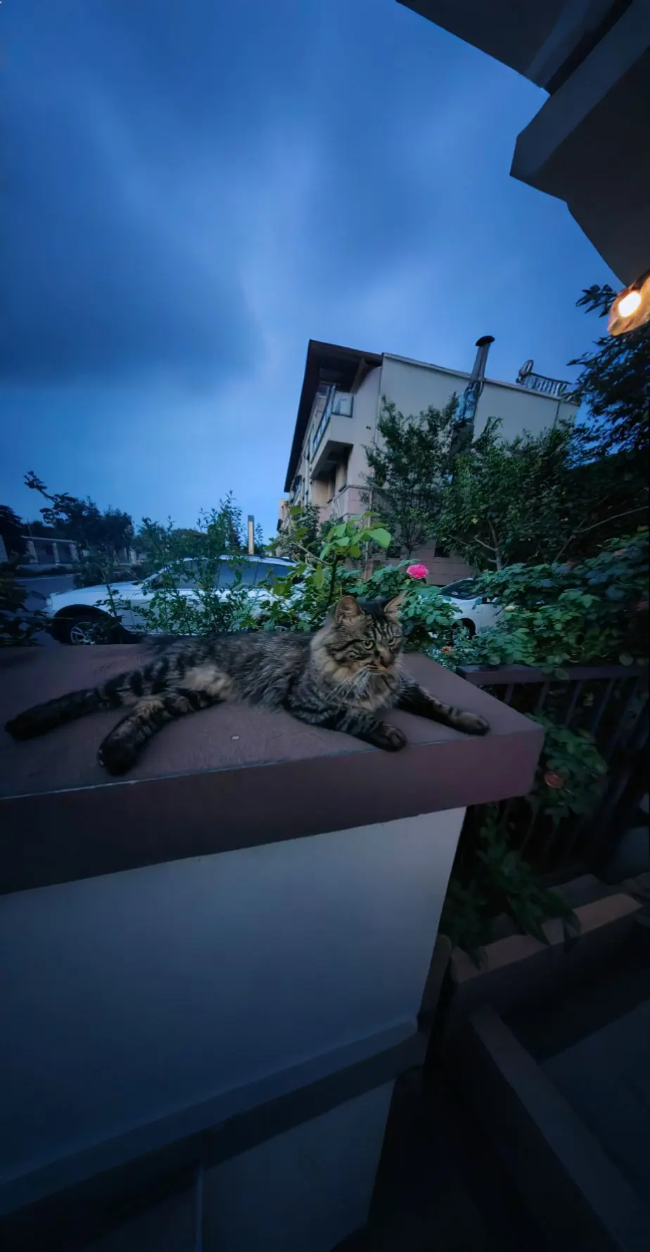 儿时的玩伴呢？