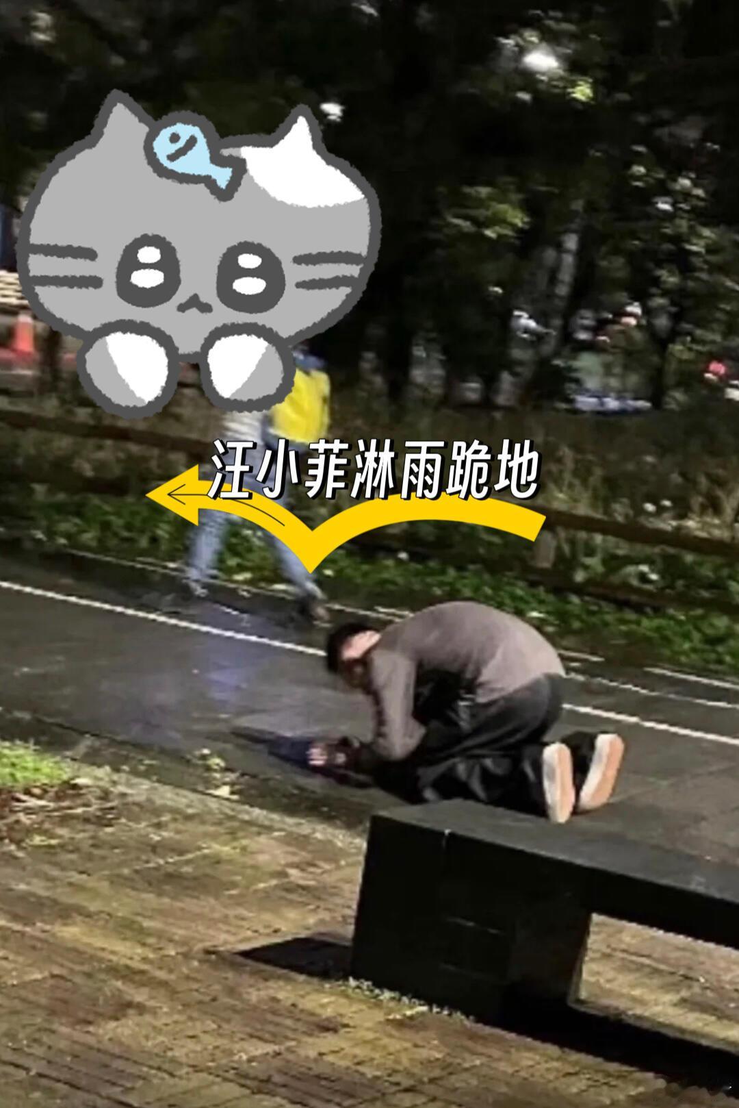 汪小菲 下跪 汪小菲回台北大街上跪地悼念前妻的画面，好友也表示汪小菲状态很差，情