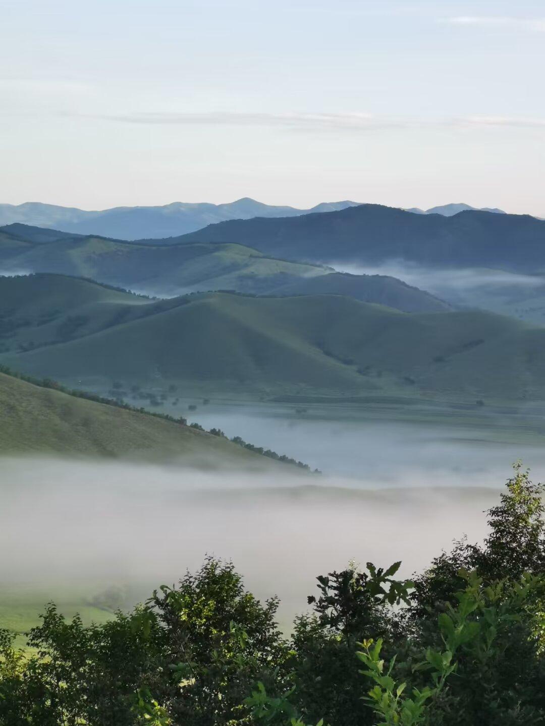 望乡
文/夏文辉

晓风静日春衫凉，杏雨纷飞李花香。
攀藤拄葛峰头望，山重水复是