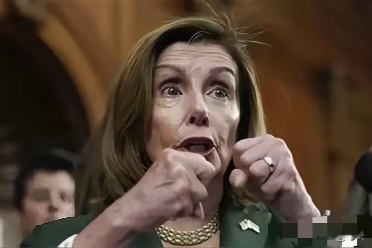 美国抓获马杜罗，佩洛西终于忍不住发声了！

美军抓走马杜罗的闹剧还没落幕，美国前