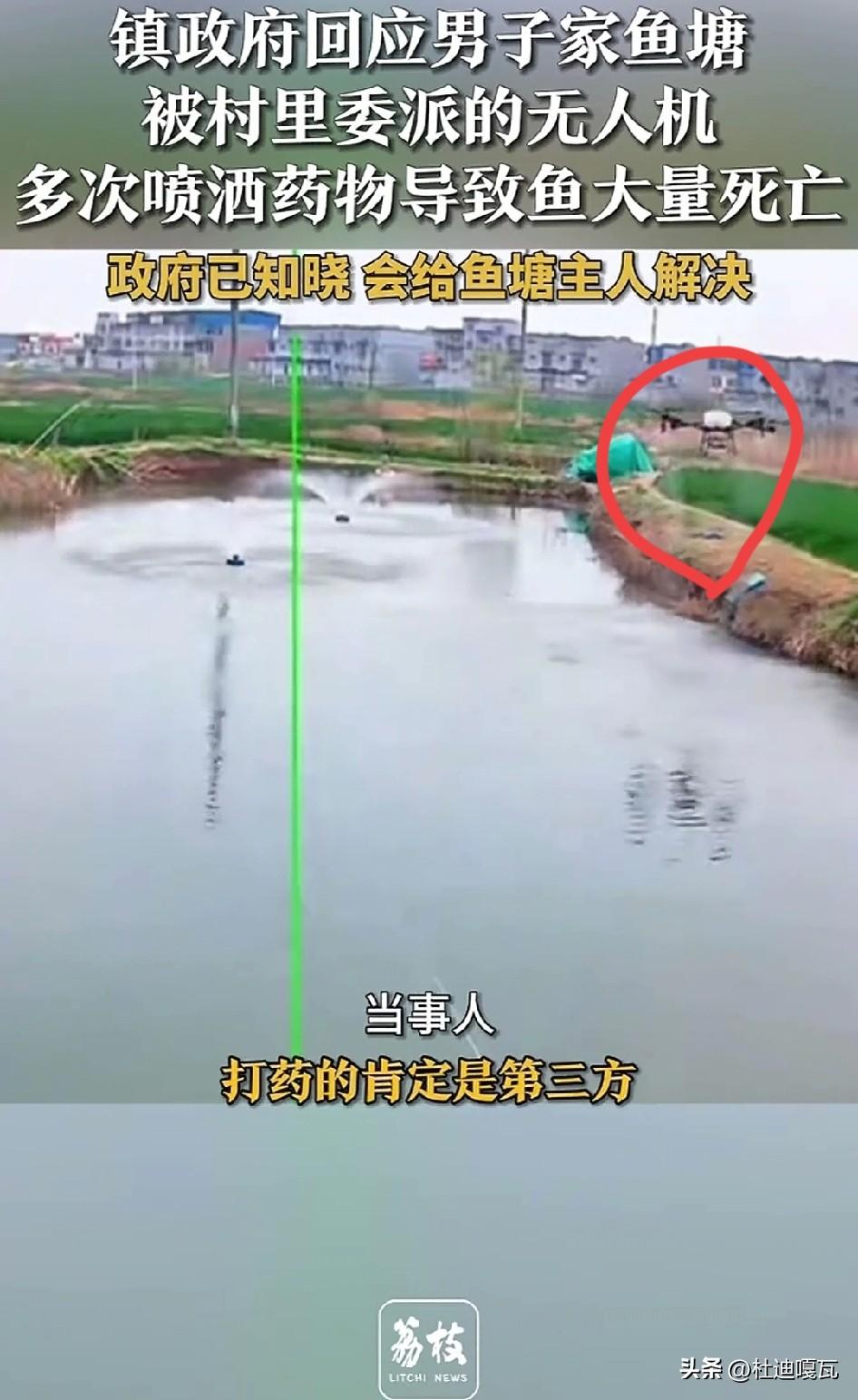 这应该不是偶然，一个是无故给油菜花打药，导致蜜蜂大量死亡，一个是无故给鱼塘打药，