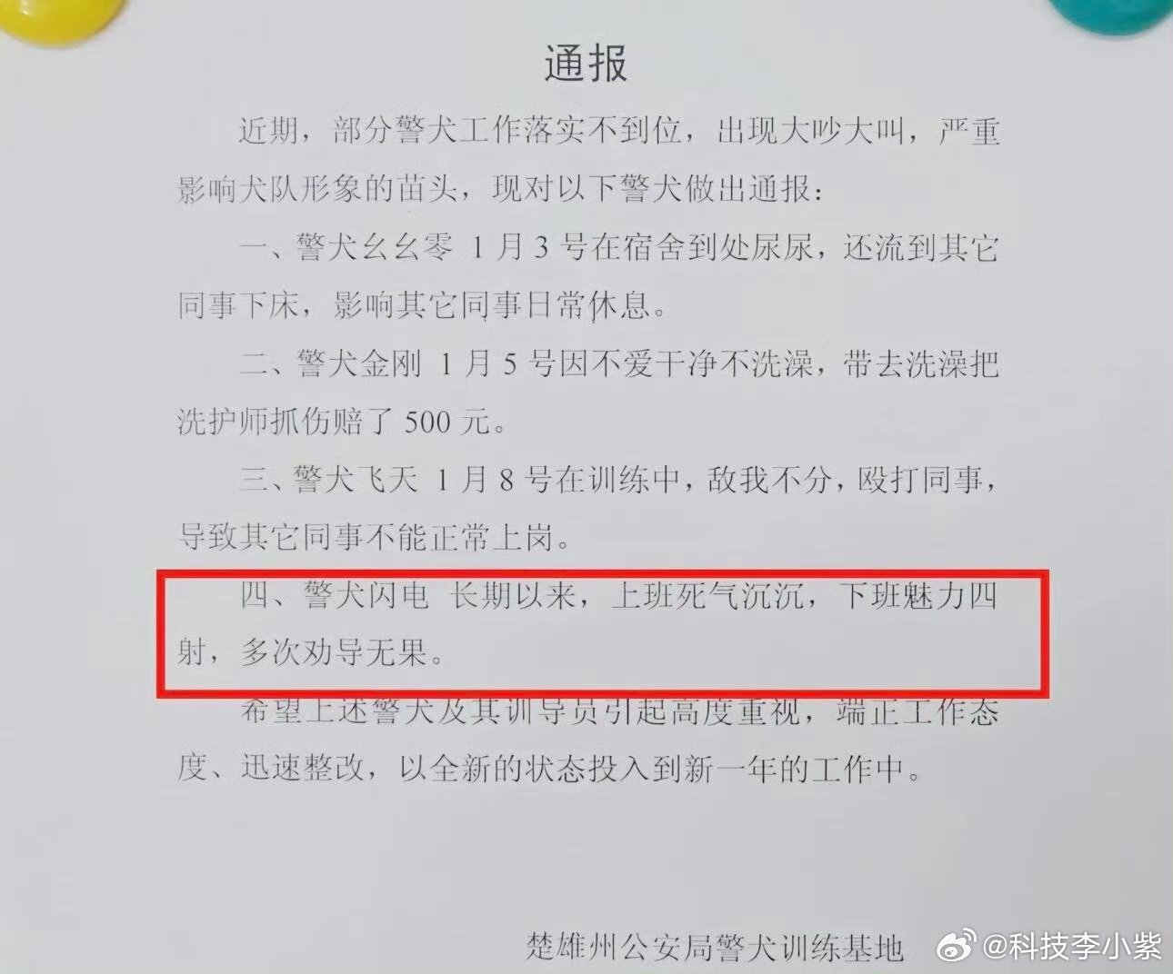 警犬被通报批评我算是发现了，不止是我们人类不爱上班，是都不爱上班