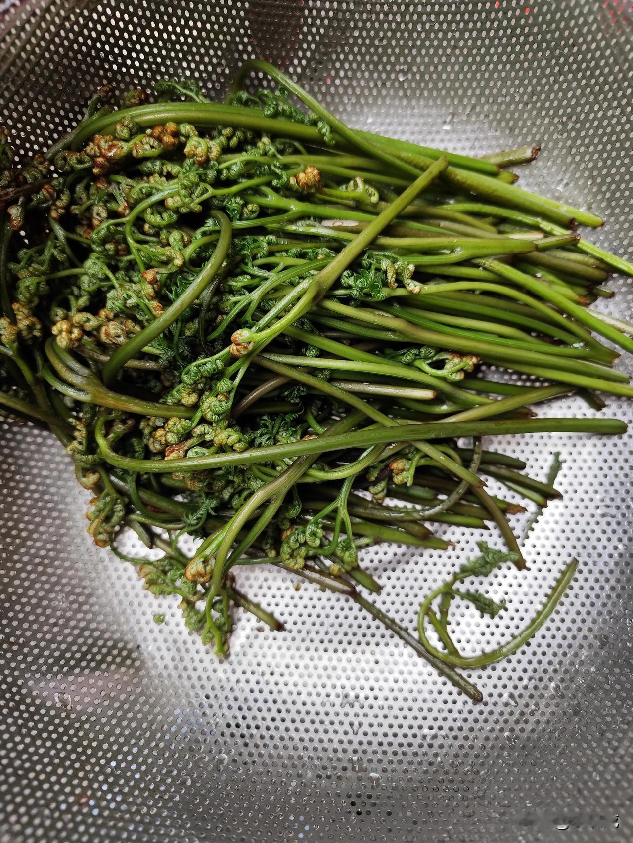 老人说这种野菜可以吃不知道有没有毒在线等！！！急