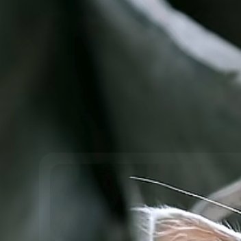 阳光信用 阳光信用每日一善 生命里最好的一种状态，看见优秀的人欣赏，看到落魄的人