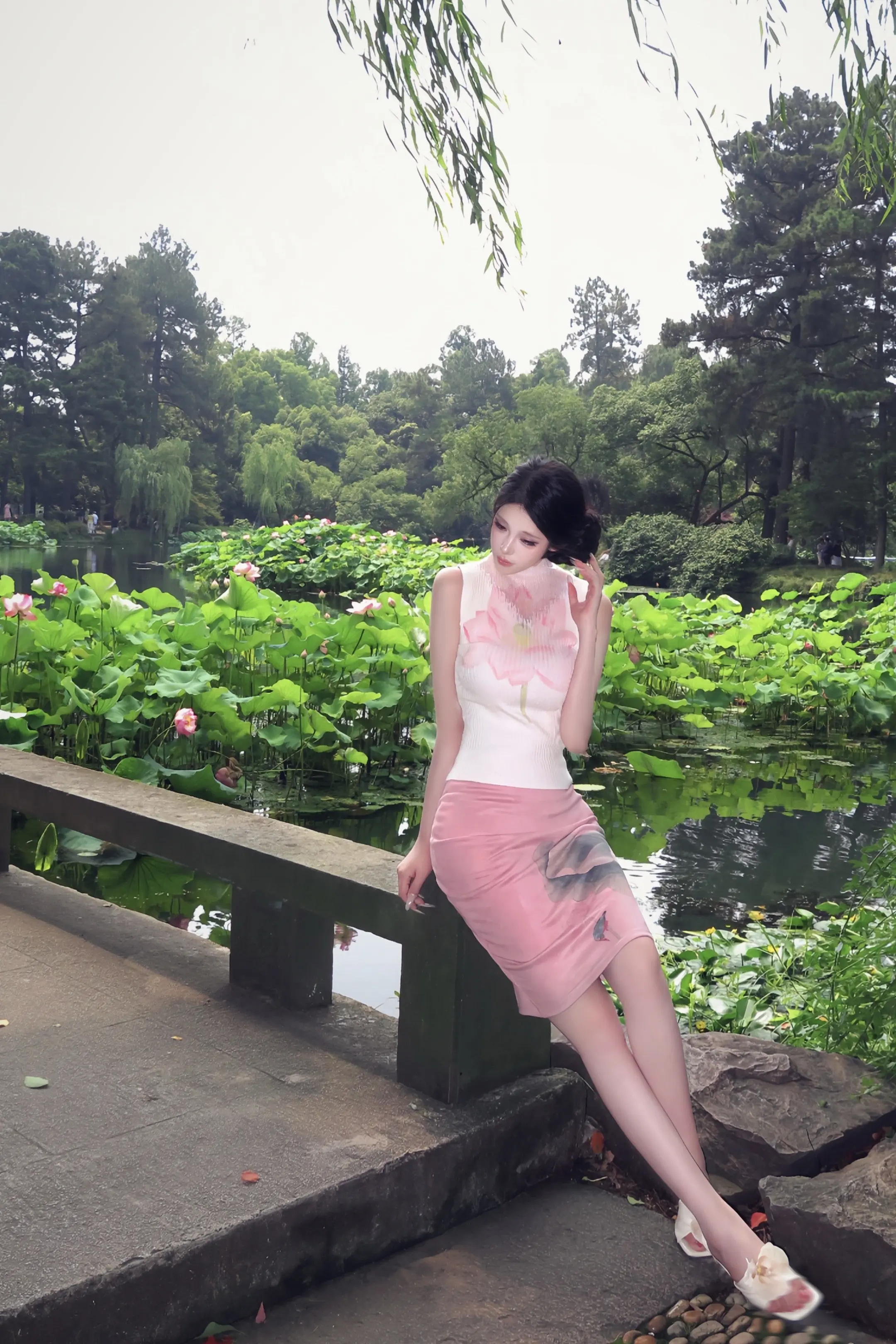 一朵芙蕖 开过尚盈盈
