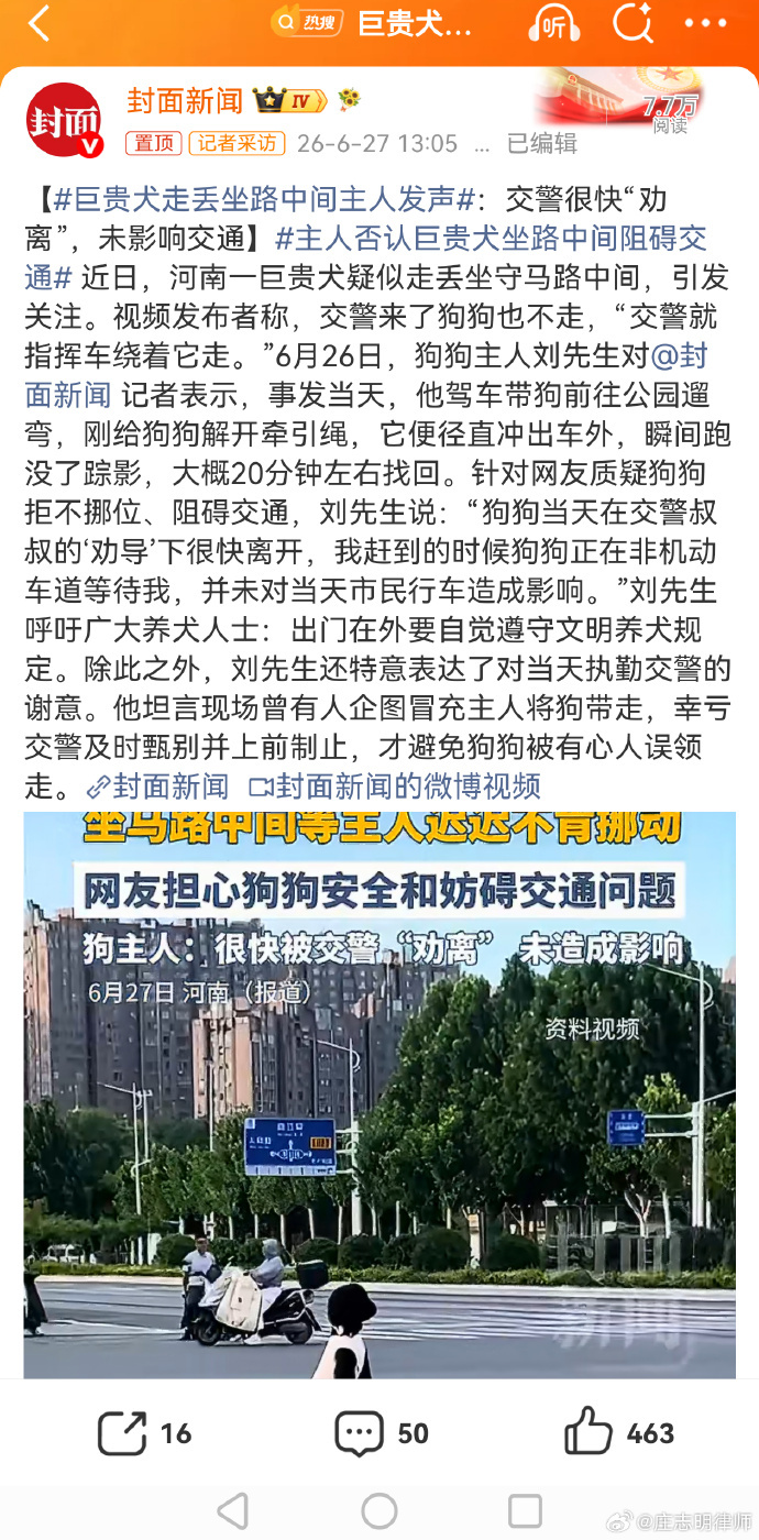 巨贵犬走丢坐路中间主人发声 郑州市难道拥有“动物友好城市”称号吗？放任犬只占用道