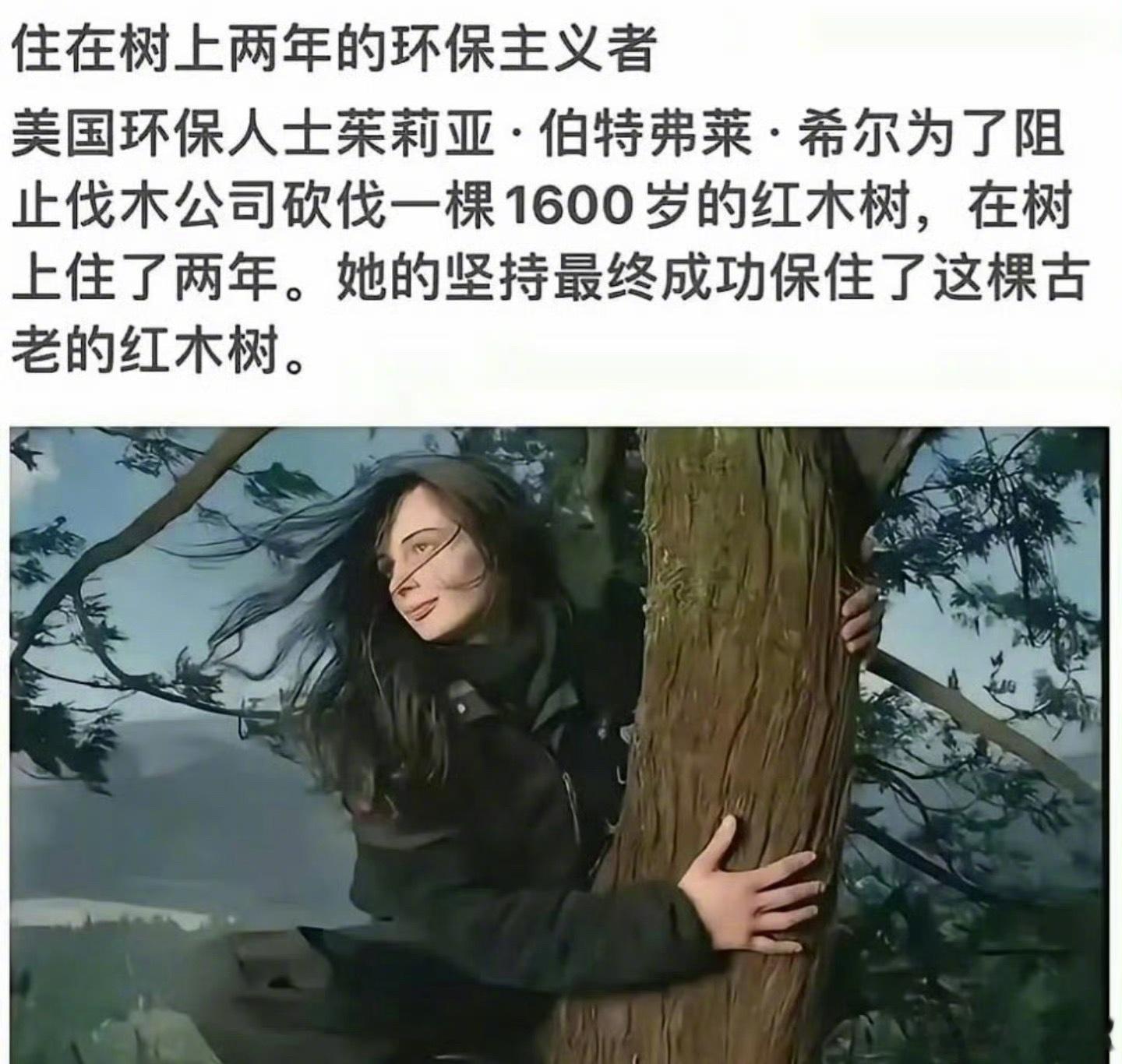 在美国，为了保护一棵1600年的古树，需要有人住在树上两年才能实现，法律在哪里？