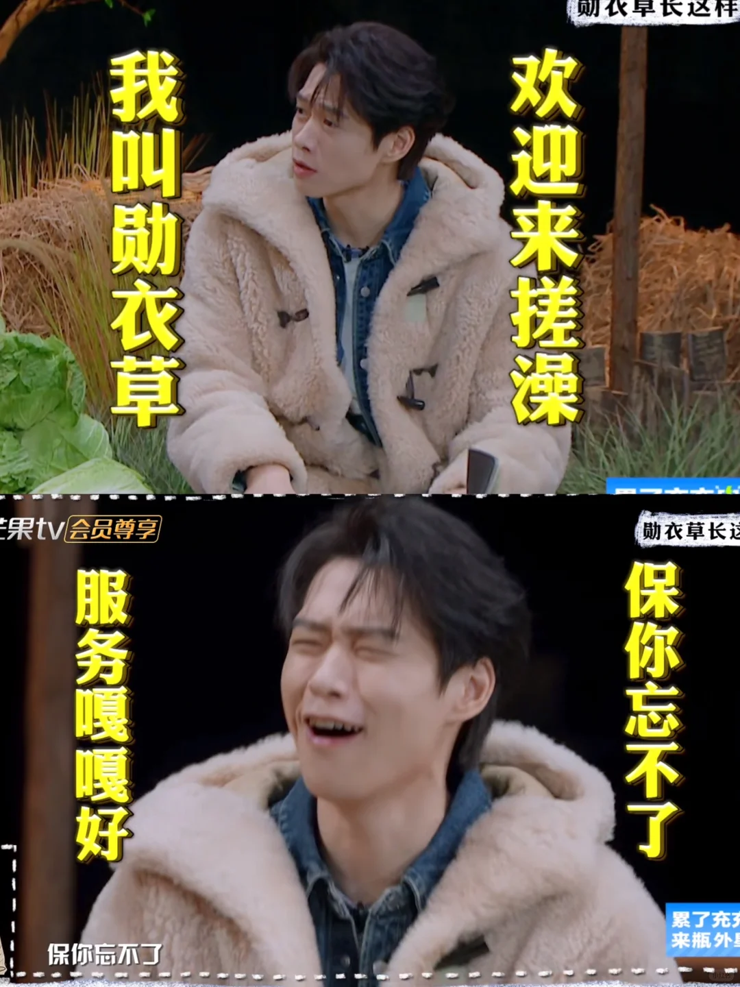 🔥大侦探第7期爆笑取名大赏来了❗️