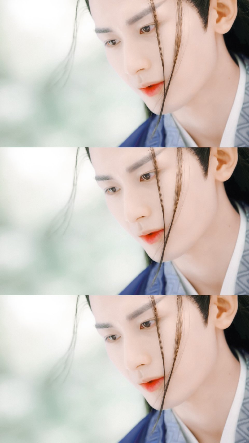 扑倒这个小鸟