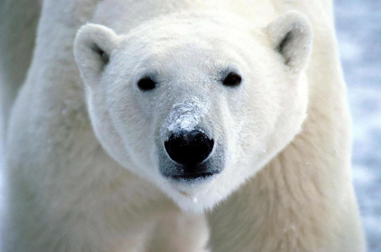 俄罗斯首台光刻机制造完成，可以生产350NM的芯片！从无到有，打破了当前光刻机的