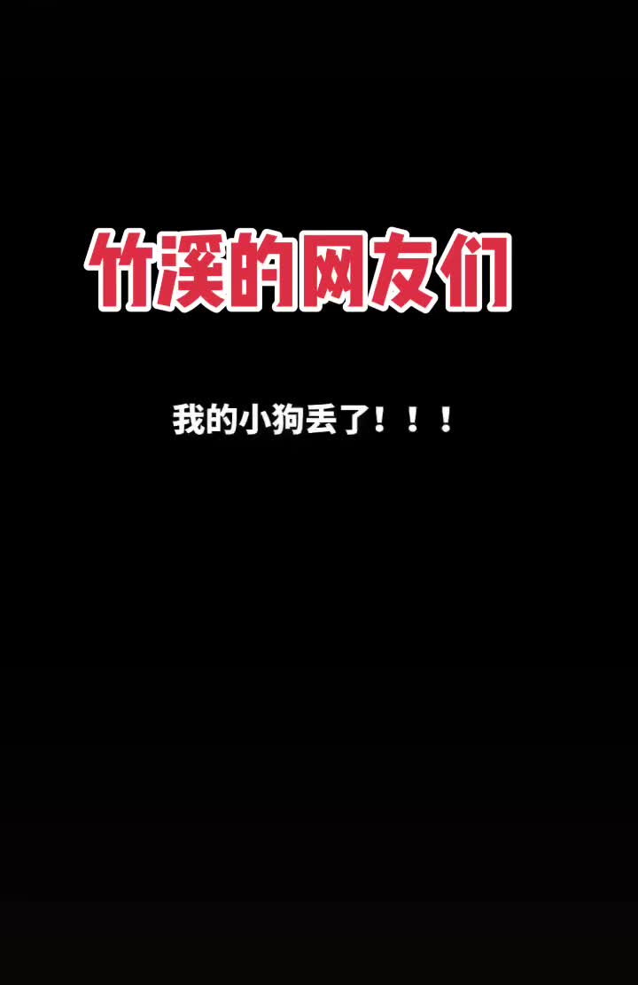 竹溪的网友们，寻狗启事。本人于七月四号丢失一条白色 比熊犬，狗狗自身价...