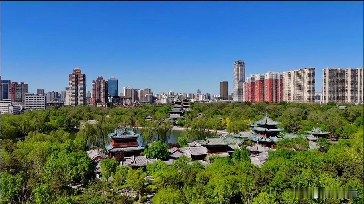 夏日的迎泽公园美不胜收！！！
如果再能加一些娱乐项目就好多了，比如水上项目，摩天