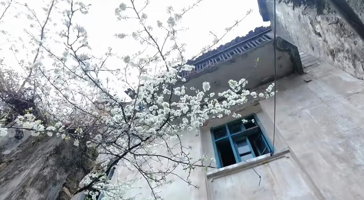 好想看李煜东的相册呀 