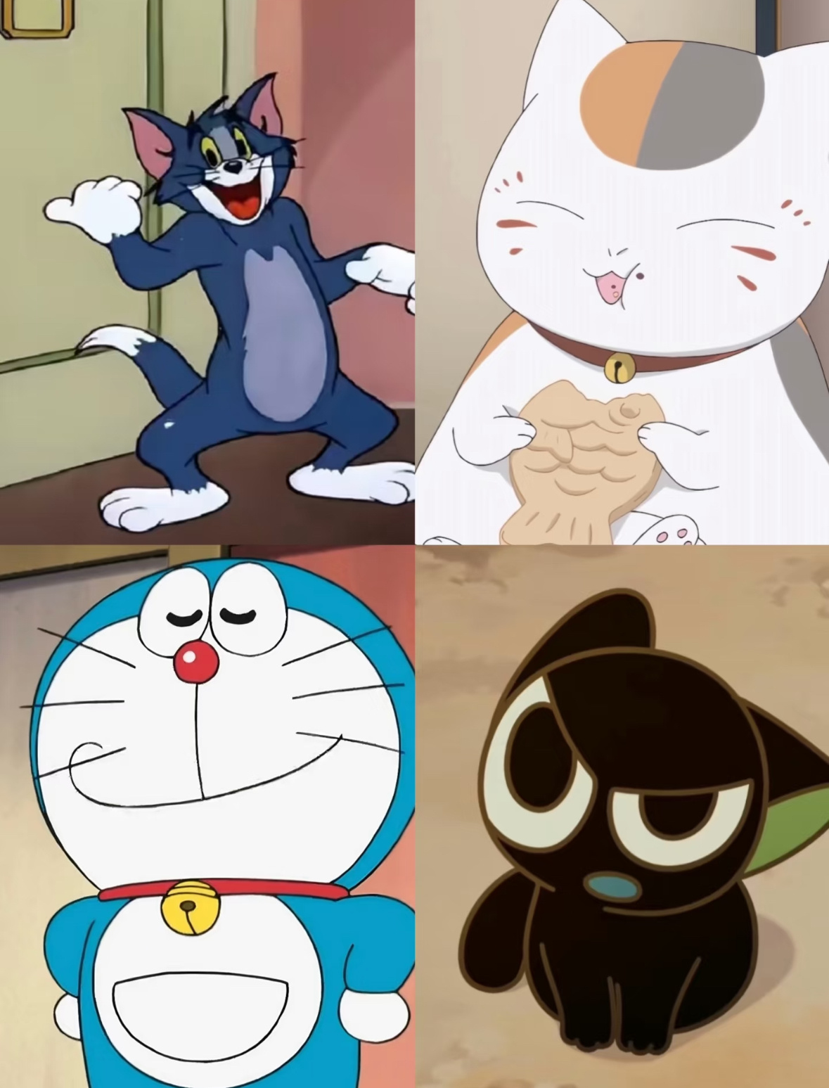 橘子夜聊绝世好猫四选一！！ 