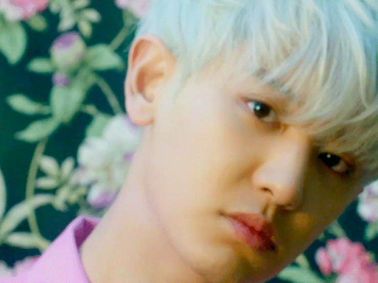 朴灿烈[超话] 190721 What a life MV 