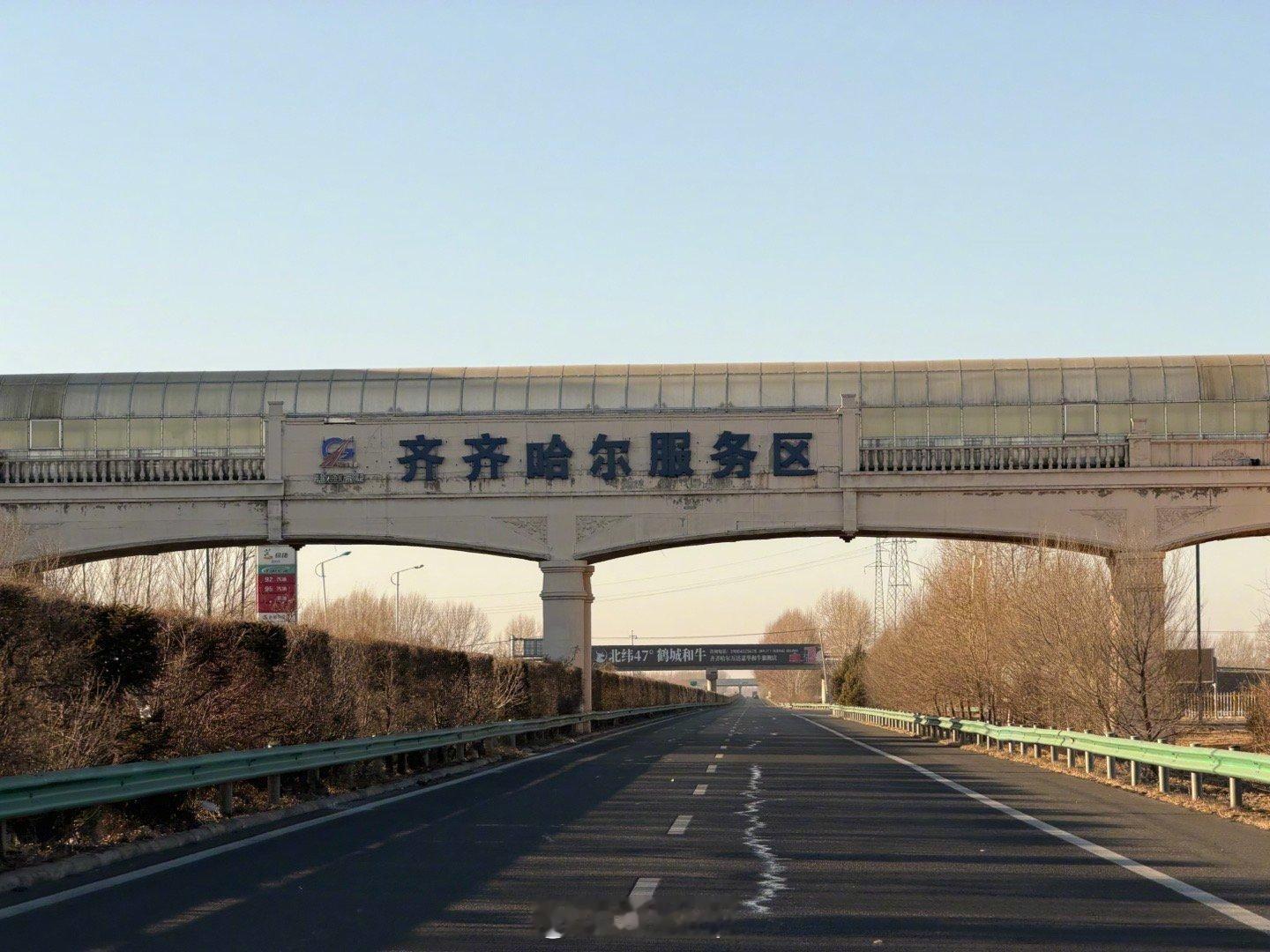 一路向北，齐齐哈尔都没怎么下雪，看到一群鸟和一只鸟，心情很不错