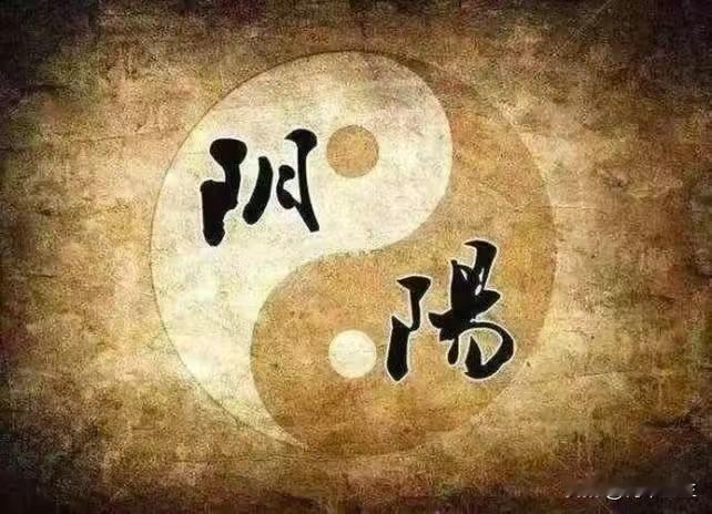最佳补肾四法则，做到了，就没有补不好的肾
1. 先健脾祛湿
原因：肾精需要脾所运