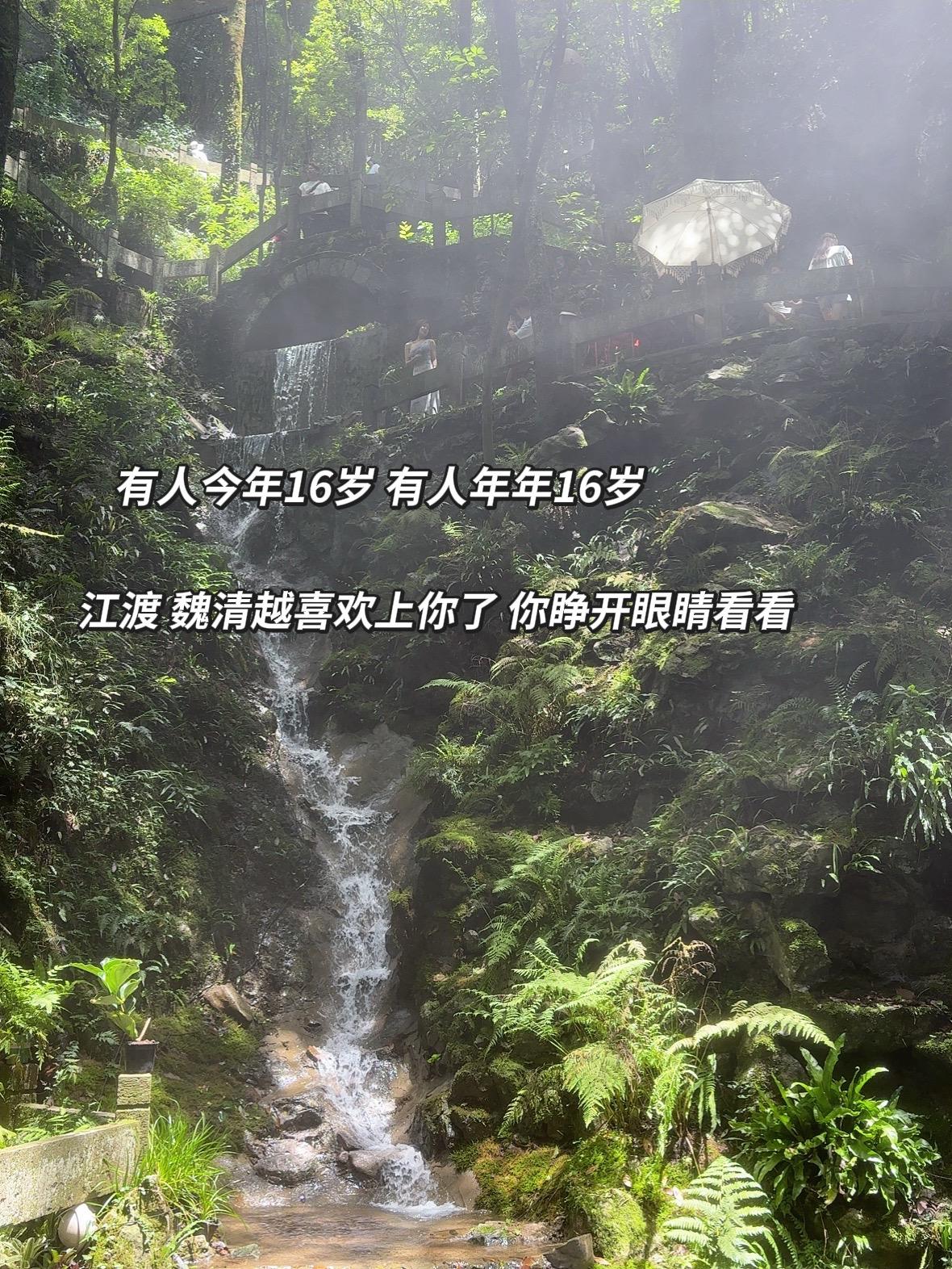 见春天。