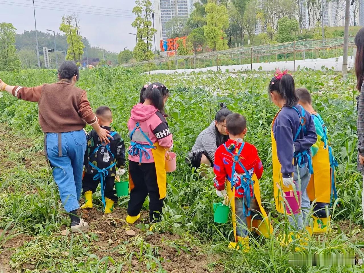 不打烊 不涨价 同质量
春节期间，剑南大道的帽合山庄不仅不打烊，不涨价，还承诺保