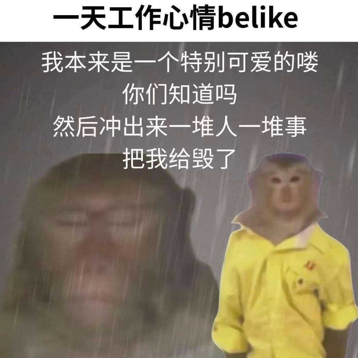 没有动物受到伤害除了猴子的心没想到猴子打工起来都很专业《年会不能停2》这猴哥是真