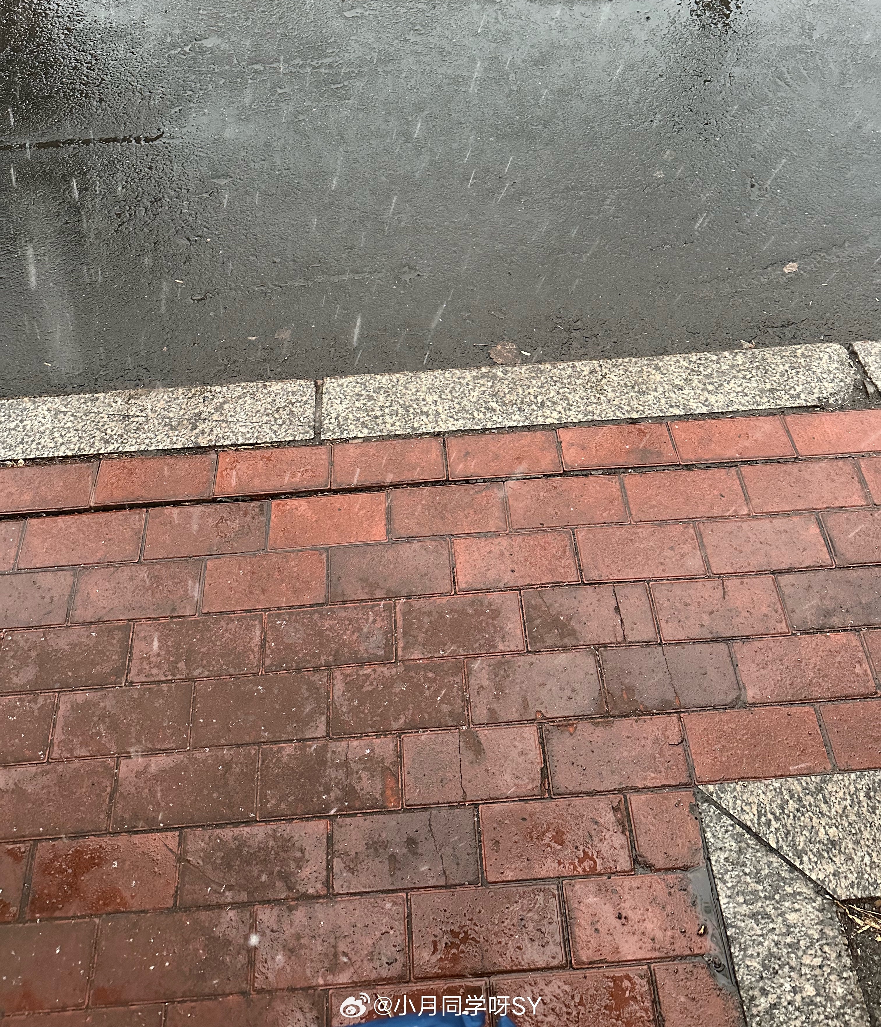 清明时节雪纷纷老大了 