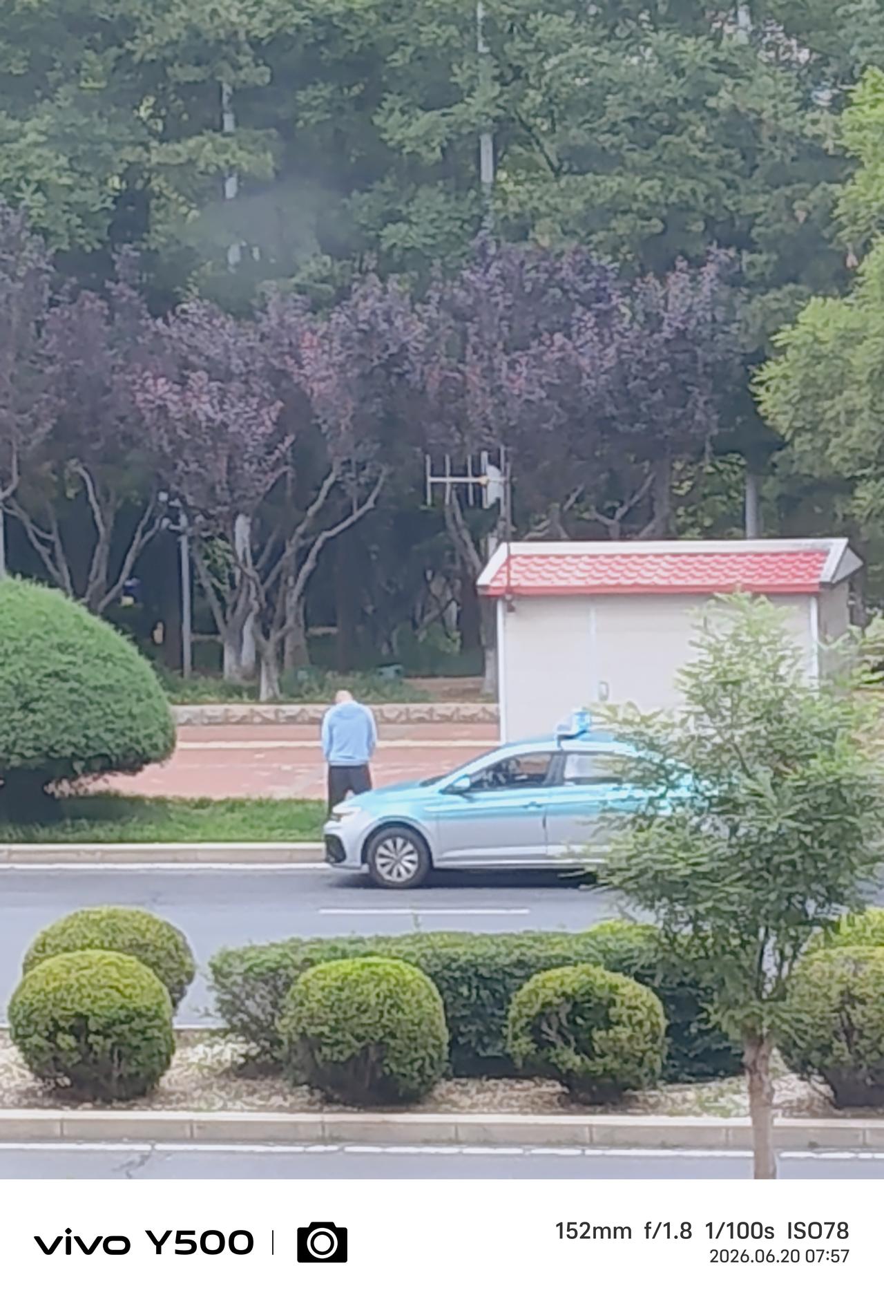 出租车司机尿急，直接把车停在路边，看看四下无人，站在绿化带上开尿。
      