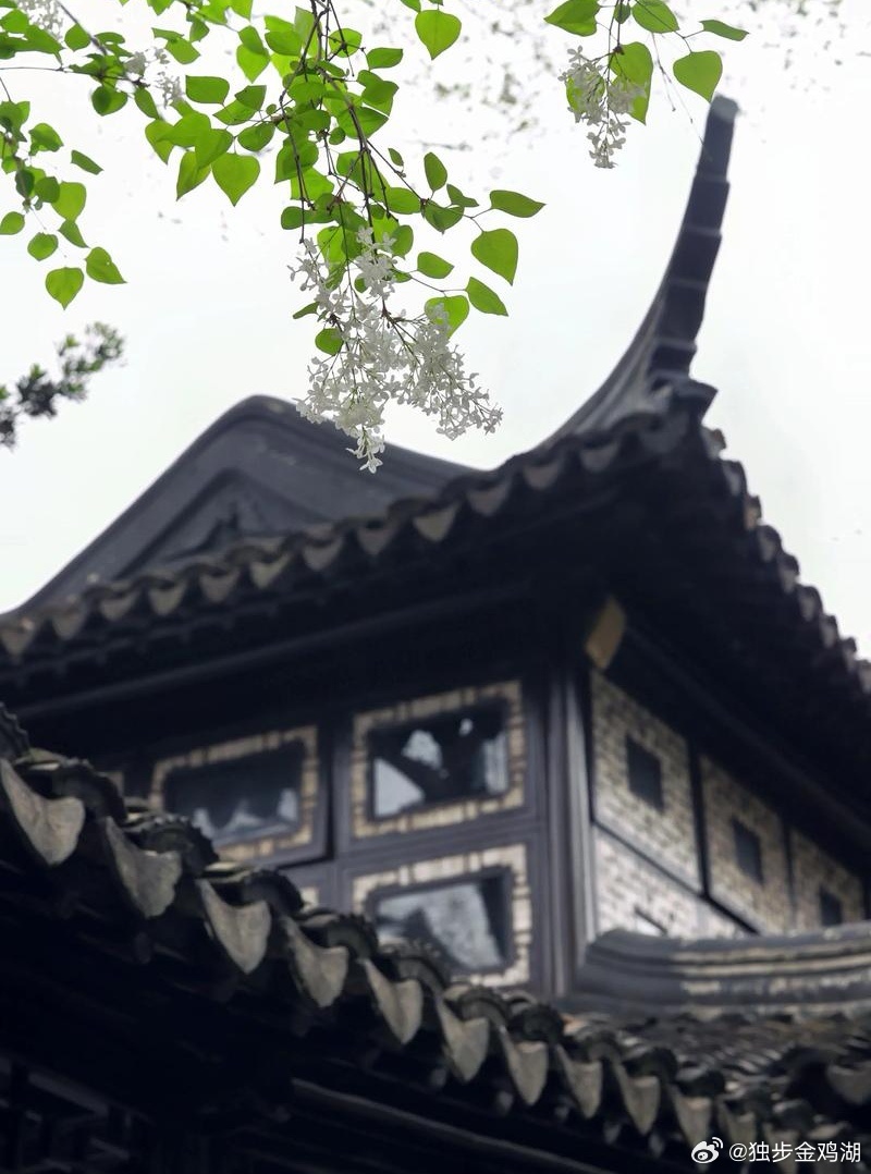 心里话       顺其自然是对生活最大的成全。让该来的来，该去的去……    