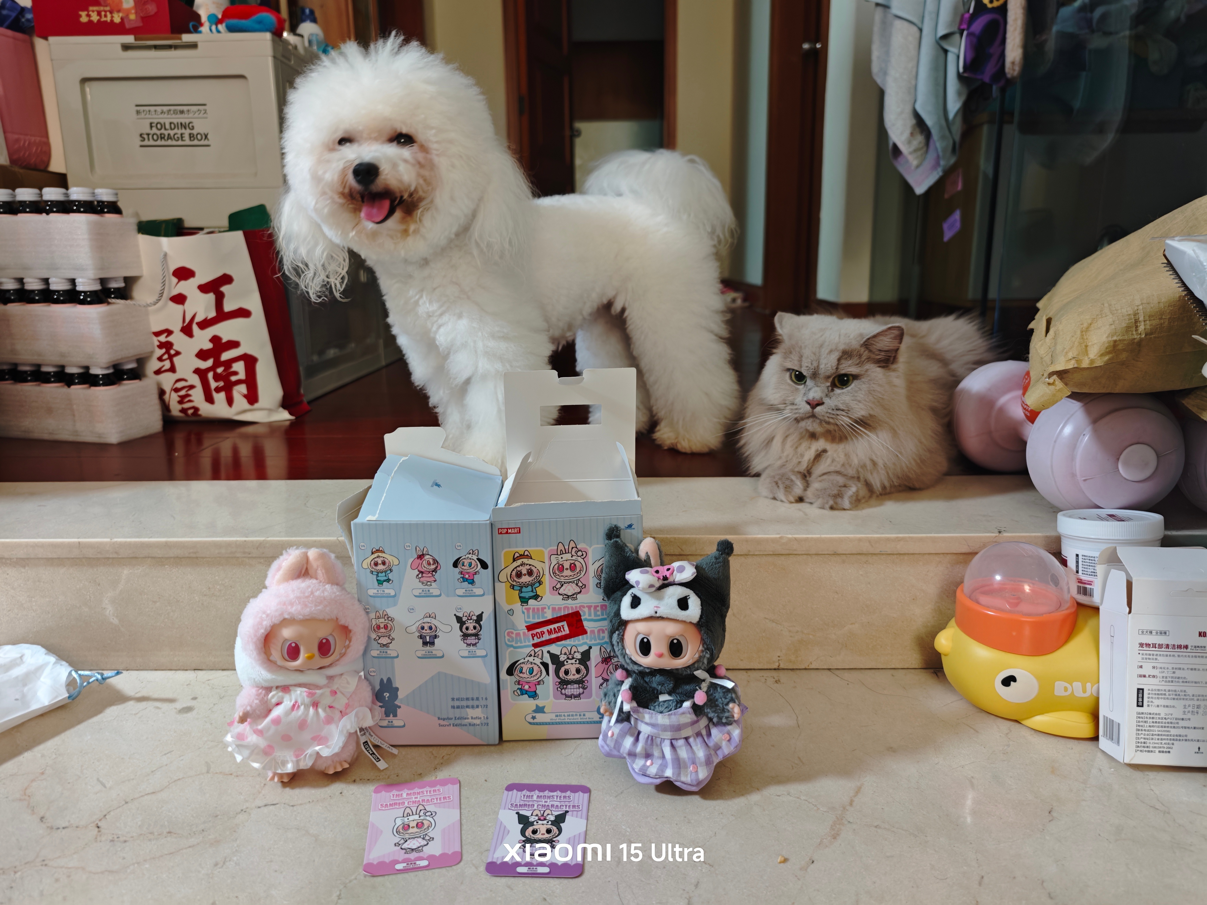 什么不火了我女儿就喜欢，也挺好的错峰买拉布~在小红书看了攻略后如愿选到两个最想要