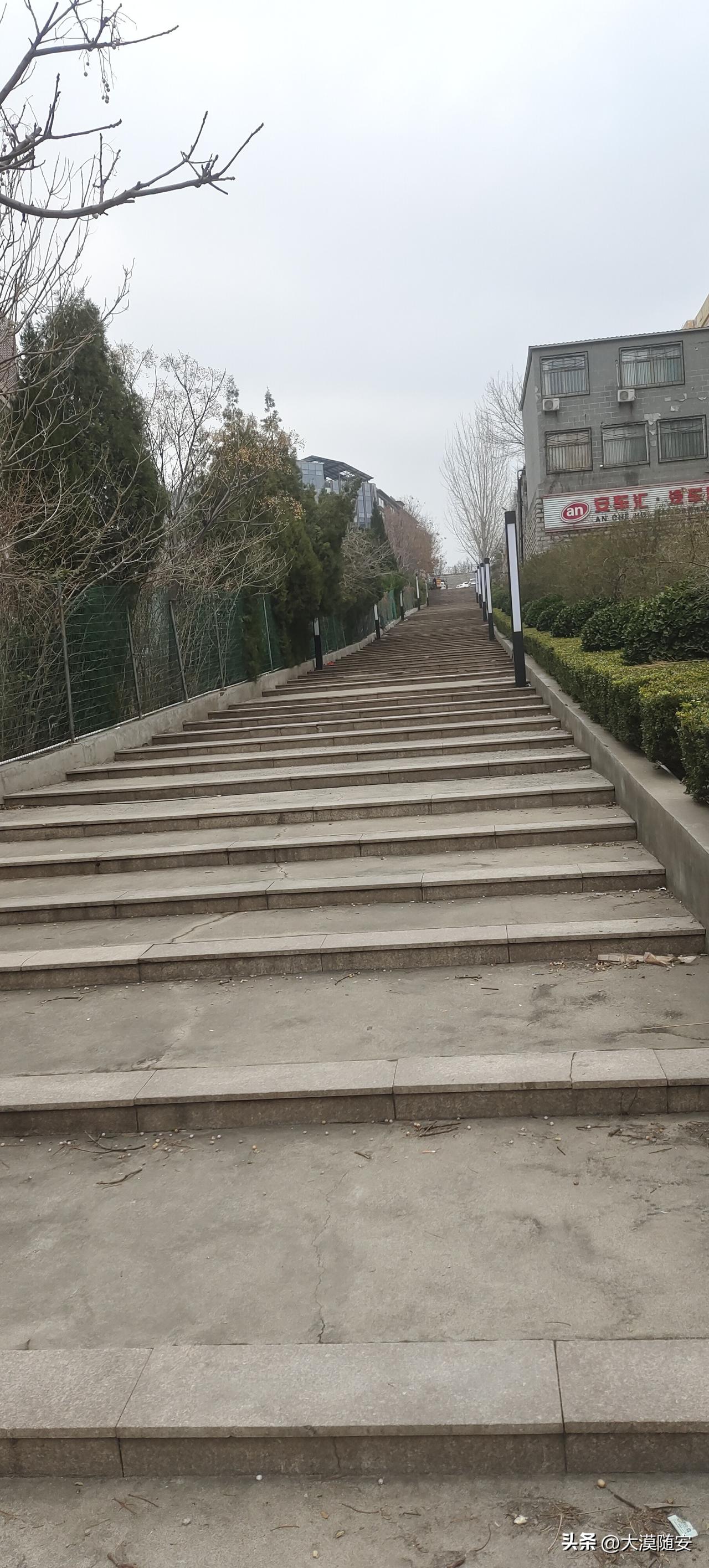 陪夫人爬附近的山，祝她节日快乐！风雨同舟大半生，携手度夕阳！