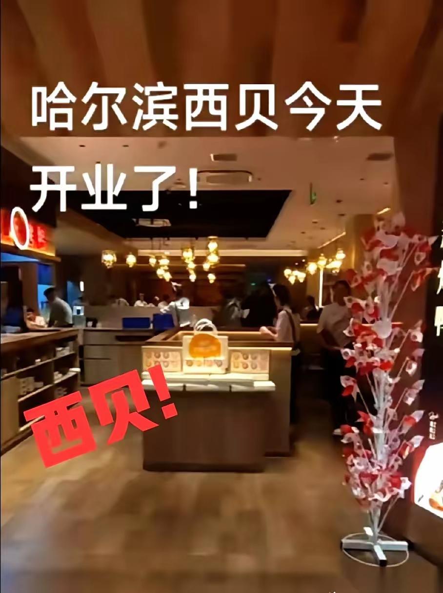 我猜，哈尔滨新开那家西贝的老板，今天应该是他人生中最漫长的一天。花大价钱加盟，选
