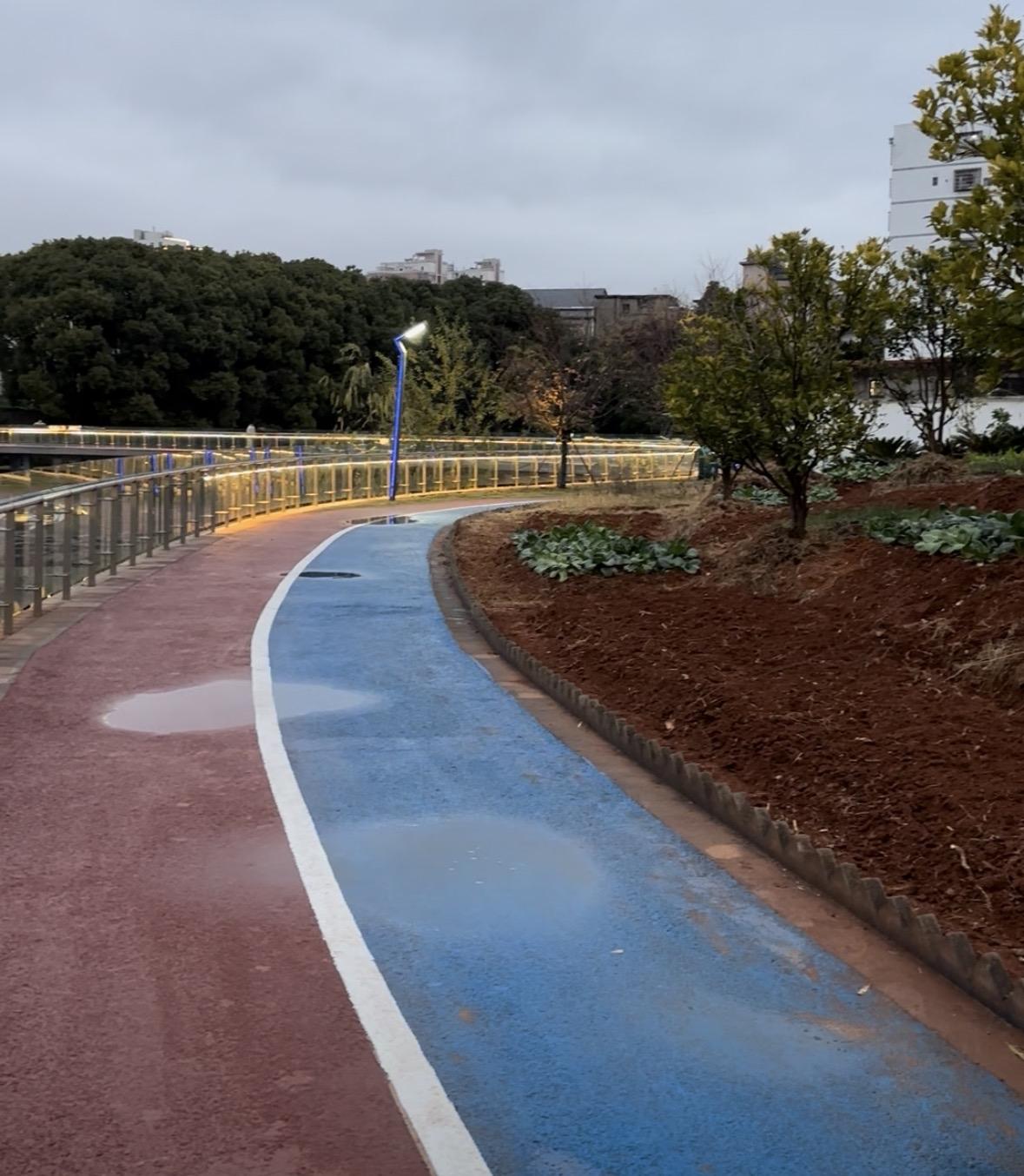 连续服侍母亲七个月（2025年6月至12月）后，终于在2026年的第一天得到了休