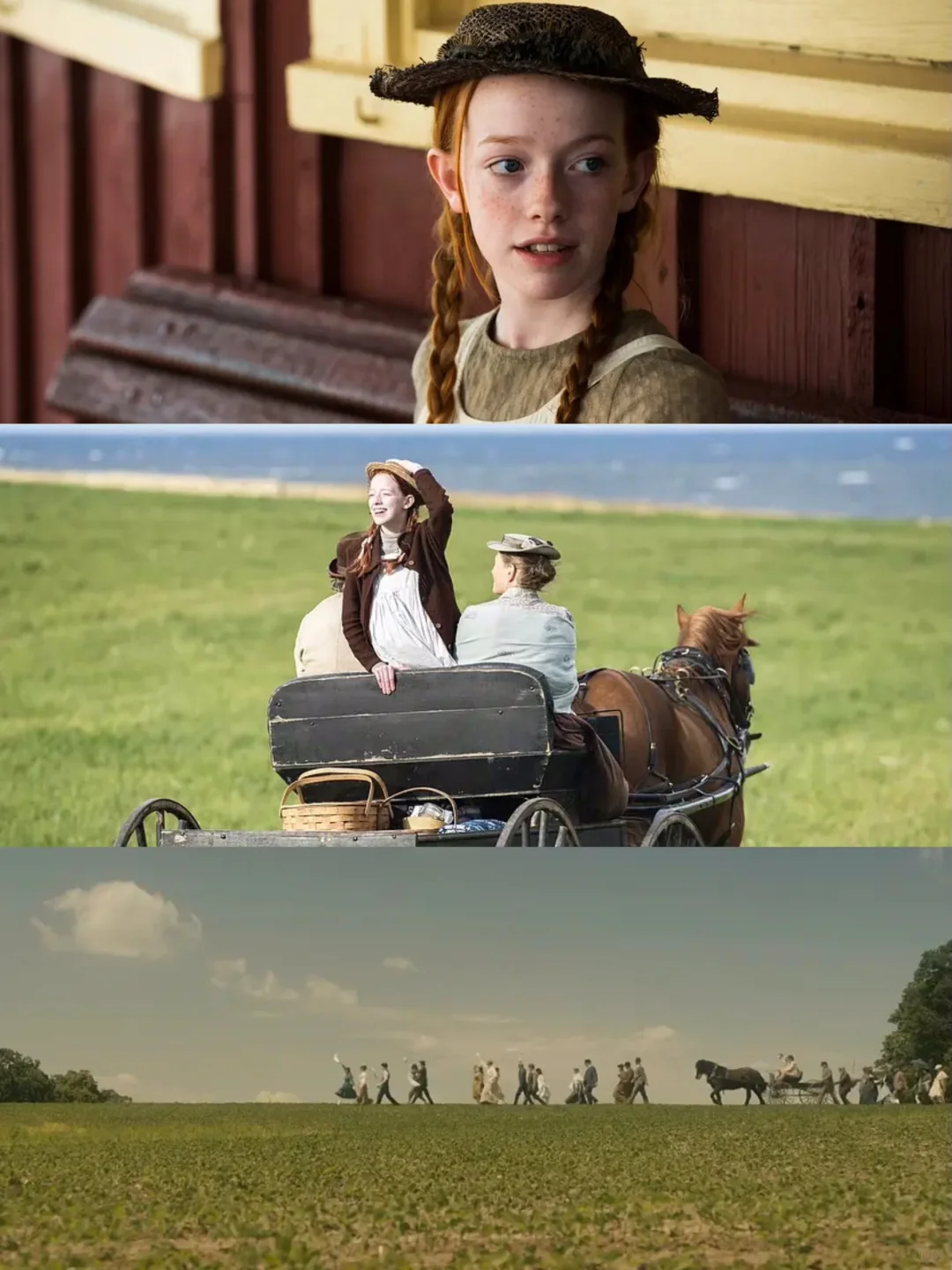 豆瓣9.1🔥高分神作🔥所有人都去看