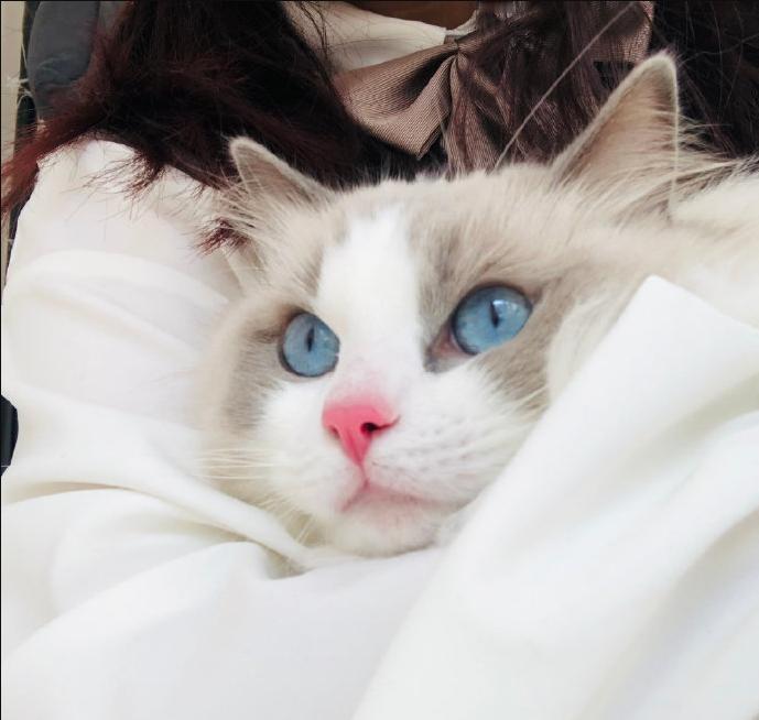 两小时内发生两次性关系，B站女员工称遭到强奸，检方判定无法证实强奸，不予起诉!