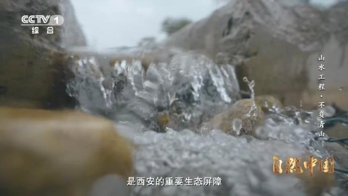 秦岭深处树在天上飞树苗坐无人机空降秦岭深处的无人机植树行动，代表着科技与自然的深