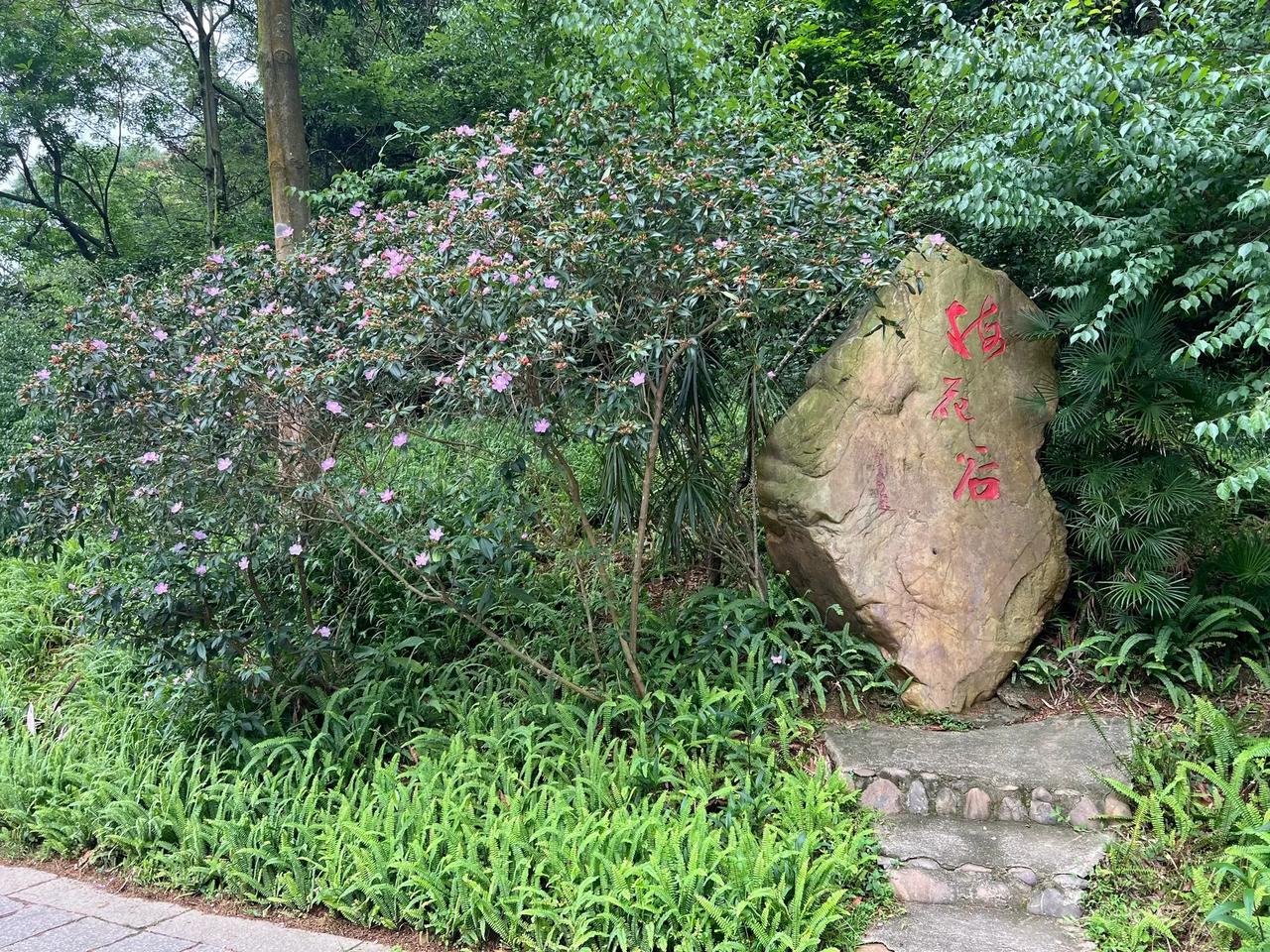 于海青：为何说白云山与越秀山是广州灵魂？ 说起广州，那么很多人都不陌生，也是很多
