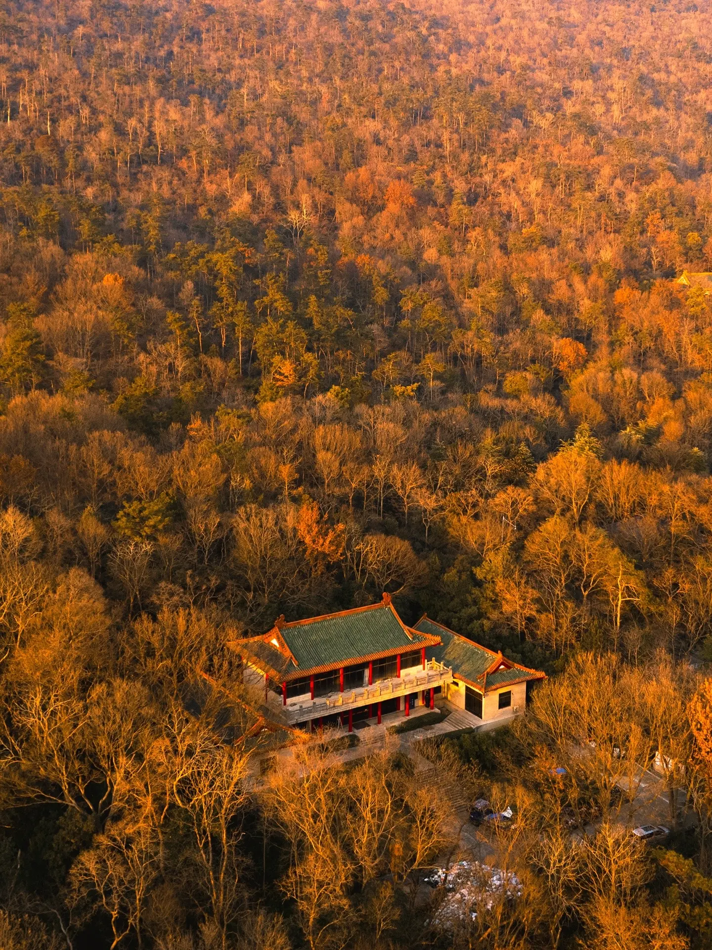 秋天🍁的南京变成了金陵城，这氛围太值得。整个秋季没有哪个城市能代替南...