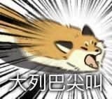 大冬天的你们那儿多少度[傻眼]我这儿25℃开风扇嘎嘎吹… 